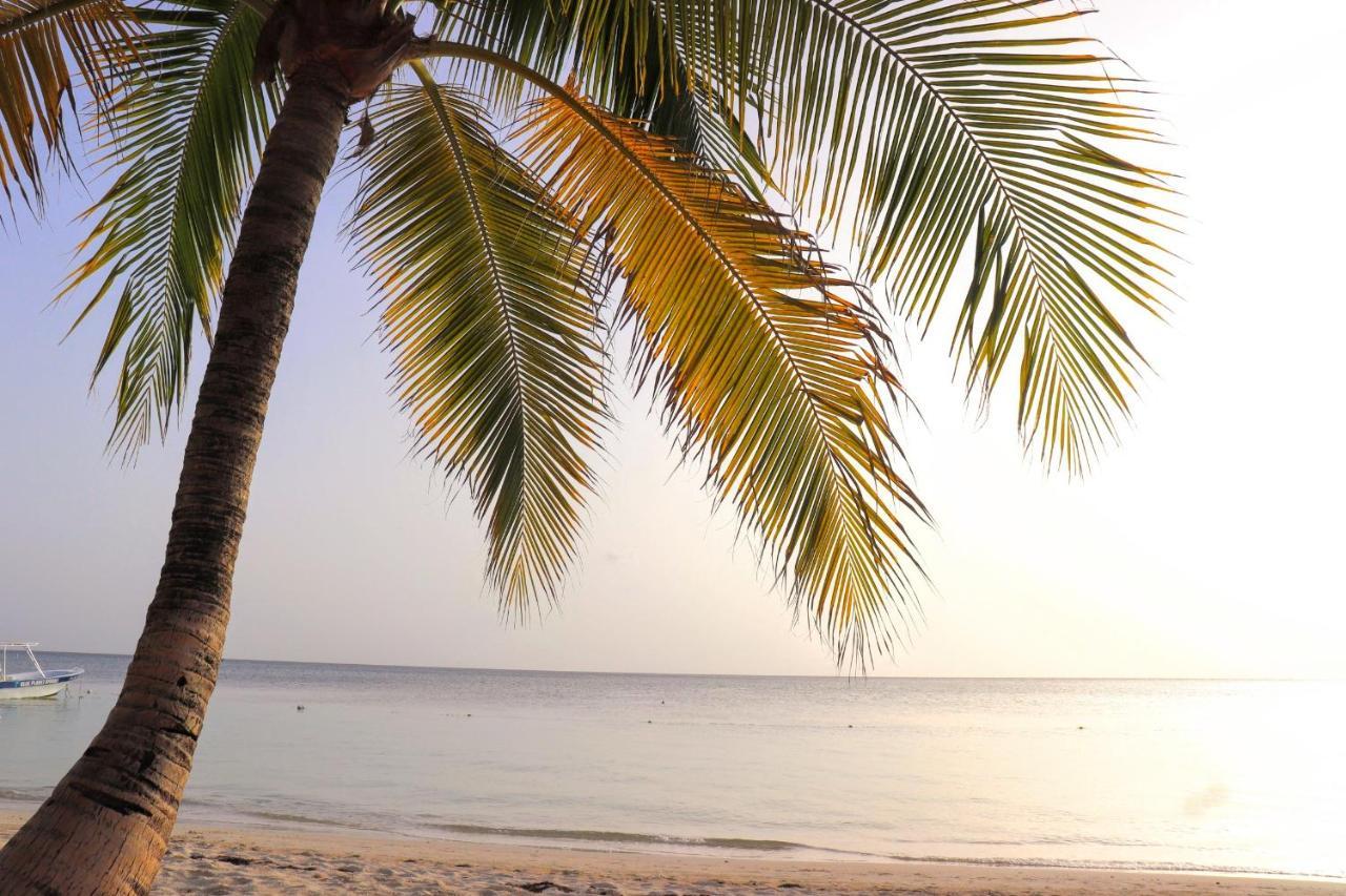 Hotel Posada Seremein ,West Bay ,Roatan Экстерьер фото